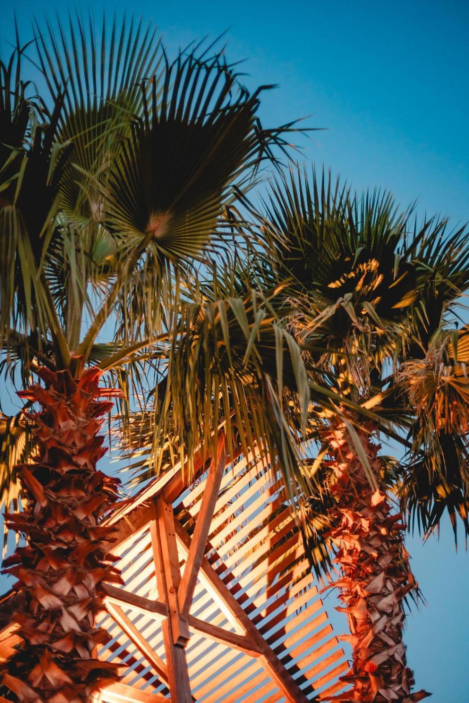 Les Prairies De La Mer غريمو المظهر الخارجي الصورة